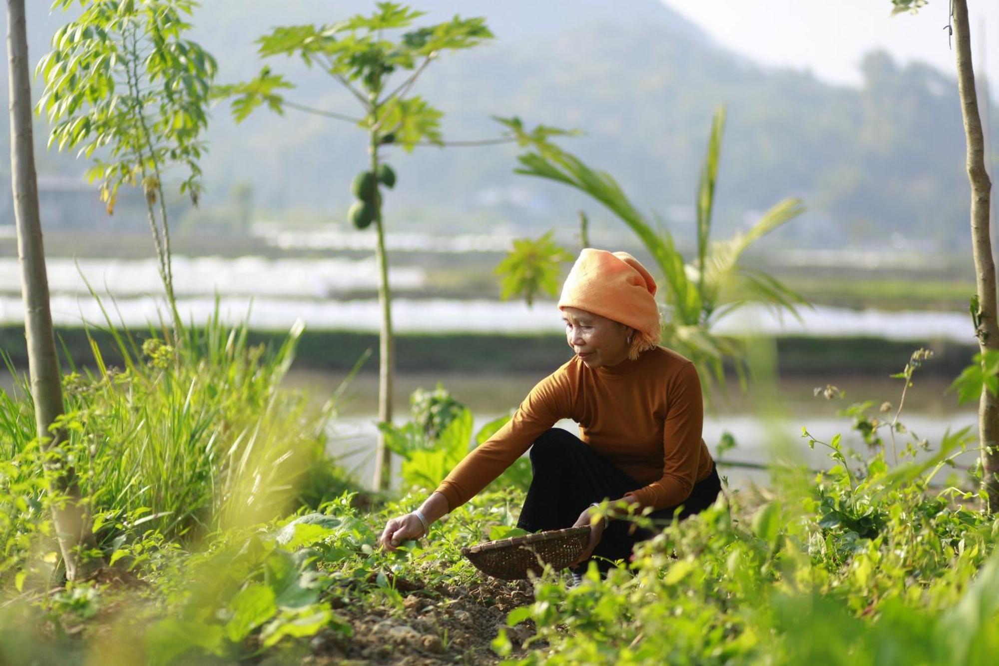 Muonglo Farmstay Yen Bai Ngoại thất bức ảnh
